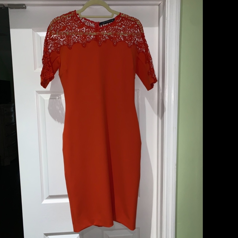 NWT Zara Dress!